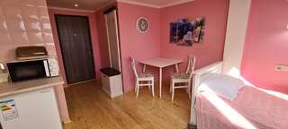 Апартаменты Аpartment for Lady Черновцы Апартаменты с 1 спальней-4